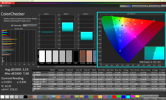 CalMAN - Color Checker (calibrato)