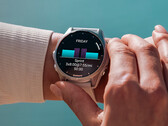 La risoluzione di Garmin per il suo 'triangolo della morte' non è priva di inconvenienti. (Fonte: Garmin)