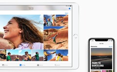 Puoi finalmente trasferire le tue foto di iCloud a Google Photos. (Immagine: Apple)