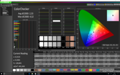 CalMAN ColorChecker (calibrato)