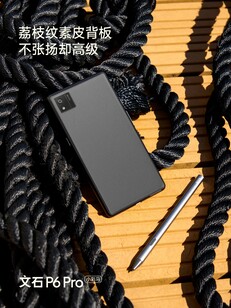 Il Boox P6 Pro Color sarà disponibile nelle opzioni di colore nero e bianco. (Fonte: Boox)