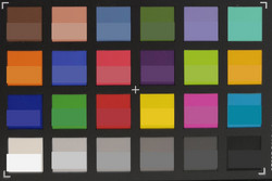 ColorChecker Passport: il colore target è mostrato nella metà inferiore di ogni campo.