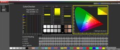 ColorChecker calibrato