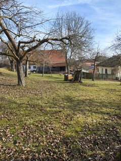 Fotocamera principale (senza zoom)