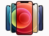 Le affermazioni di Apple sui suoi iPhone potrebbero non essere del tutto veritiere. (Fonte: Apple)