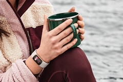 Fitbit ha introdotto nuovi quadranti per i modelli Charge 5 e Luxe, già presentati nella foto. (Fonte: Fitbit)