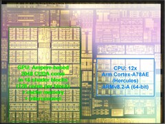 Il Tegra T239 dovrebbe offrire prestazioni significativamente migliori rispetto alla serie Tegra X1. (Fonte: Wikipedia via kopite7kimi)