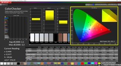 CalMAN ColorChecker (Profilo: Vivido)