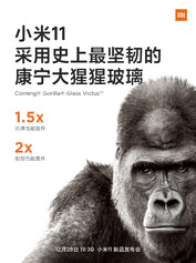 Gorilla Glass promo. (Fonte Immagine: Xiaomi)