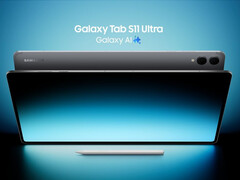 Il Galaxy Tab S11 Ultra potrebbe costare fino a 1.619,99 dollari negli Stati Uniti. (Fonte immagine: via Roland Quandt)