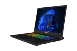 Tulpar S8 V1.1 portatile da gioco da 18 pollici