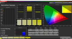 CalMAN Saturation Sweeps (calibrato)