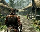 Immagine dal gioco The Elder Scrolls V: Skyrim. (Fonte: Steam)