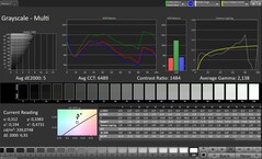 Scala di grigi CalMAN