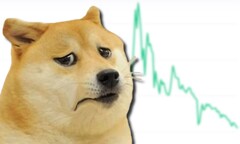 Dogecoin ha goduto di un aumento di oltre il 20.000% in un anno, ma ultimamente ha avuto un forte crollo. (Fonte immagine: CoinMarketCap/Imgflip - modificato)