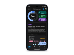 L&#039;app Fitbit ridisegnata (nella foto) si arricchisce di un AI health coach. (Fonte: Fitbit)
