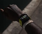 Garmin ha lanciato la versione beta 19.13 per gli smartwatch Forerunner. (Fonte: Garmin)