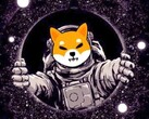 Shiba Inu ora supportato da più commercianti (Fonte: Steamindia)