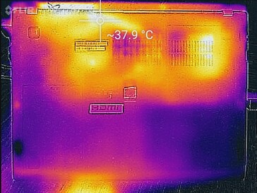 Lato inferiore, sotto carico