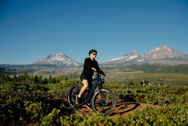 La e-bike Kingbull Rover 2.0 può gestire un carico utile fino a 400 libbre (181,4 kg) (Fonte: Kingbull)