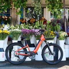 La e-bike Momentum Vida E+ offre un&#039;autonomia totale di 55 miglia (88,5 km) con una singola carica (Fonte: Momentum)