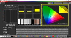 CalMAN ColorChecker (profilo: Display P3)