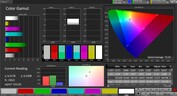 Spazio colore CalMAN AdobeRGB - display esterno