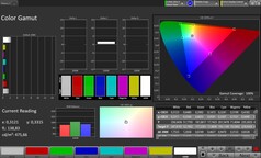Spazio colore CalMAN