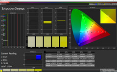 Saturation Sweeps Profilo: Semplice, gamma di colore target: sRGB)