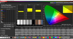 CalMAN ColorChecker calibrato (gamma colore sRGB)