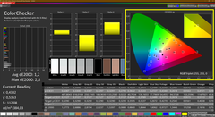 CalMAN Colorchecker Display-P3