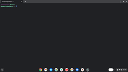 Ambiente Linux sotto Chrome OS