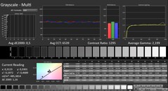 CalMAN: Scala di grigi (calibrata)