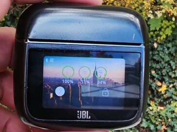 Tuttavia, la leggibilità è generalmente buona (fonte: Notebookcheck)