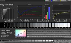 Scala di grigi CalMAN