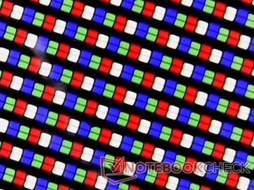 Matrice di subpixel RGBW. Il pixel bianco dedicato avrebbe un impatto negativo sulla risoluzione e sul rapporto di contrasto