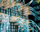 Cavi in fibra ottica blu con connettori bianchi inseriti in un pannello di permutazione in un data center