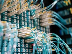 Cavi in fibra ottica blu con connettori bianchi inseriti in un pannello di permutazione in un data center