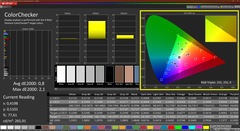 Calman Colorchecker calibrato