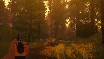 Un'immagine che mostra una foresta in Firewatch.