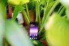 Recensione di OnePlus Nord 5