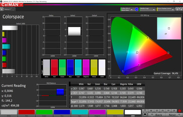 CalMAN - Spazio Colore (Auto, Standard, P3)