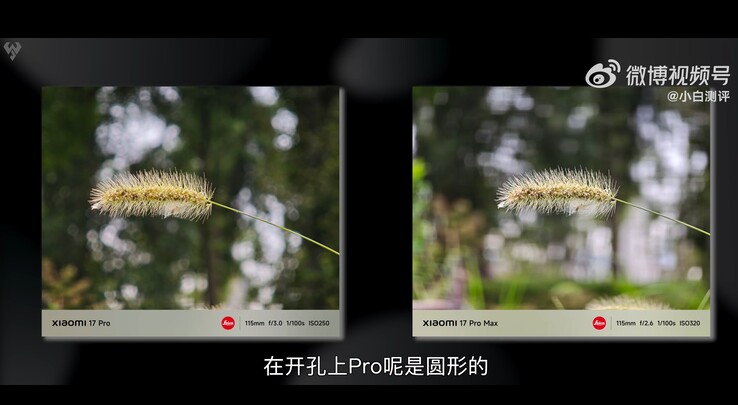 Xiaomi 17 Pro vs Xiaomi 17 Pro Max: foto macro scattate con teleobiettivo 5x a confronto