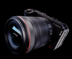 Un'immagine della Canon EOS R6 V.