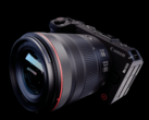 Un'immagine della Canon EOS R6 V.