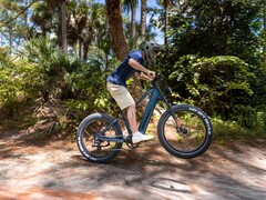 La e-bike Kingbull Rover 2.0 è alimentata da un motore Bafang da 750 W (Fonte: Kingbull) 