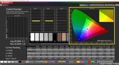 CalMAN ColorChecker (profilo sRGB, spazio colore di destinazione sRGB)