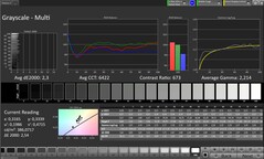 Scala di grigi CalMAN