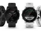 La versione Beta pubblica 15.16 è in fase di distribuzione agli smartwatch Forerunner 945 LTE idonei. (Fonte: Garmin)