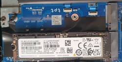 Samsung PM9A1 (MZVL2512HCJQ): PCIe Gen4x4. secondo slot: Gen3x4.
